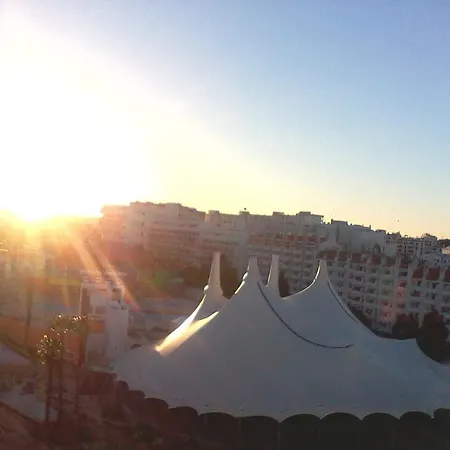 Ariadna Albufeira
